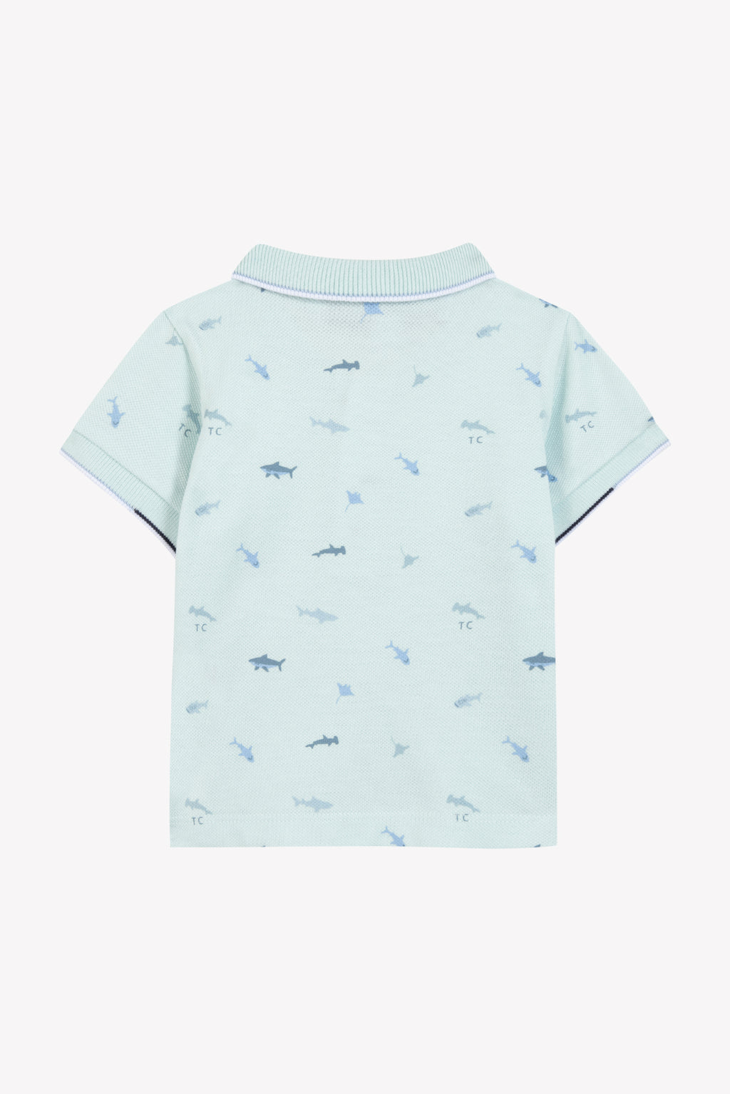 Polo - Aqua illustration requins