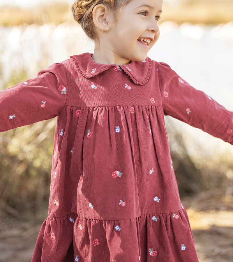 Dress - Pink Velvet Peter pan collar