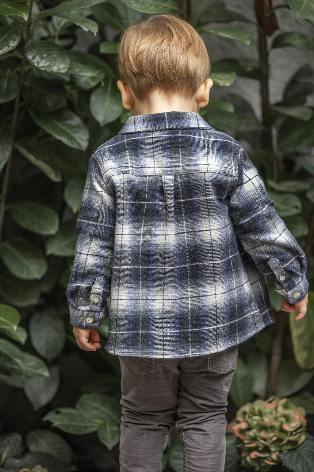 Camisa - Gris tiene Cuadros algodón