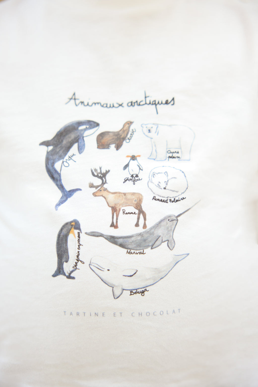 T-shirt - Illustration animaux pôle nord