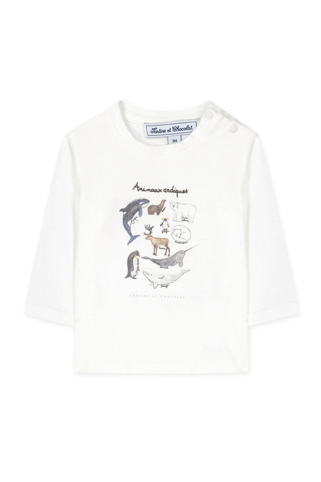 T-shirt - Illustration North Pole Animals