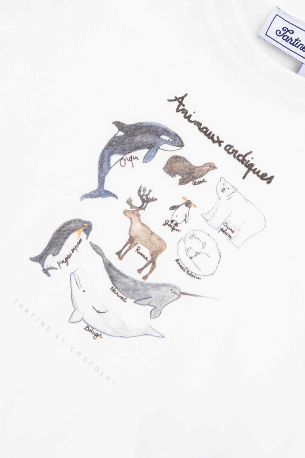 T-shirt - Illustration animaux pôle nord