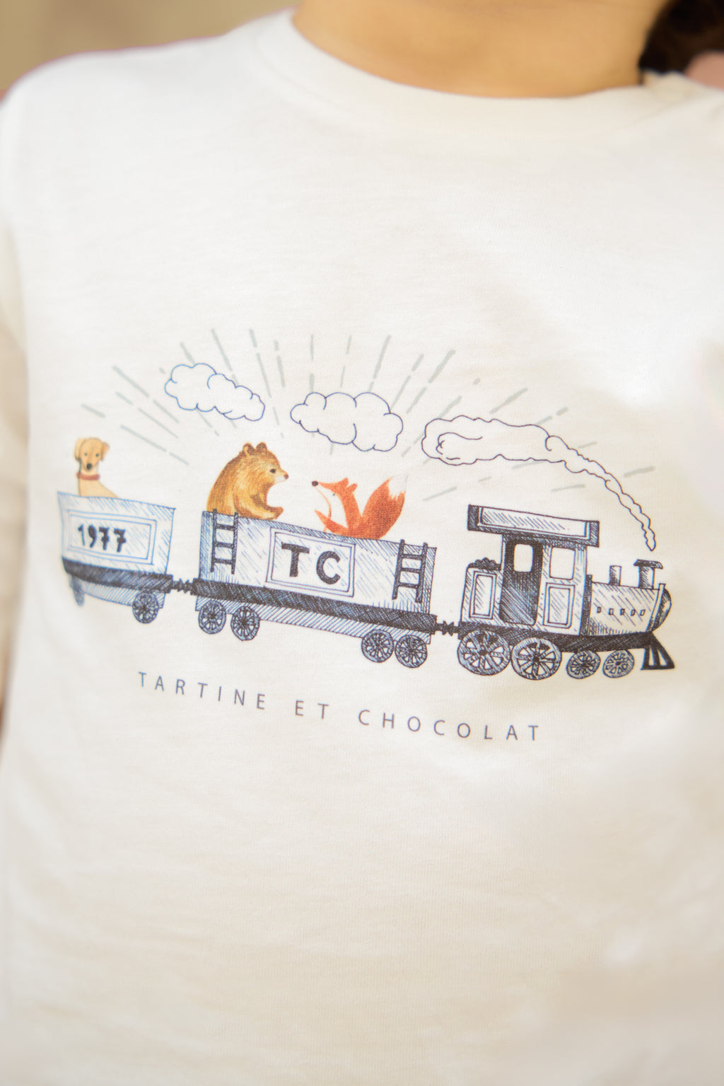 Camiseta - Ilustración tren