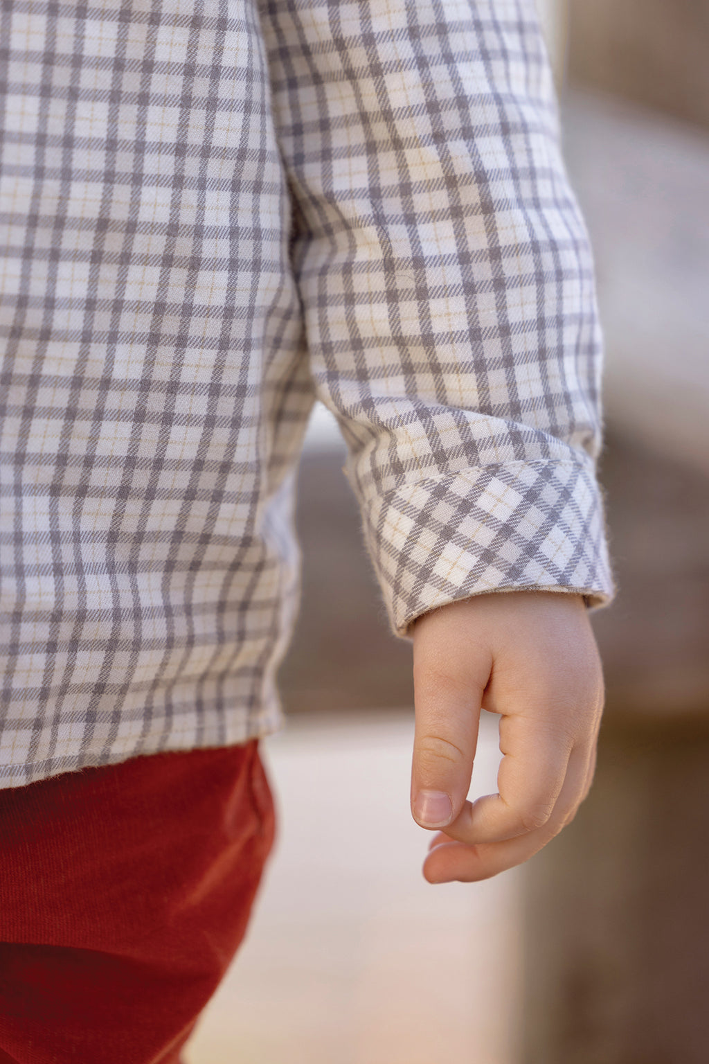 Shirt - Ruiten Blauw Grijse