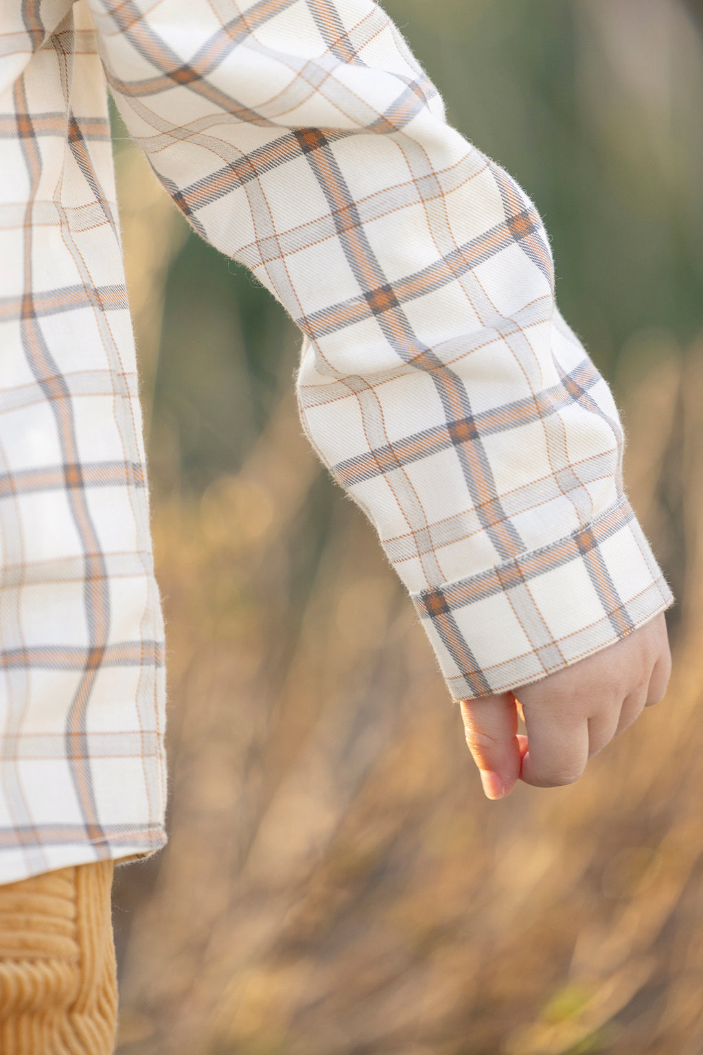 Camicia - Madreperla  grasso Scacchi