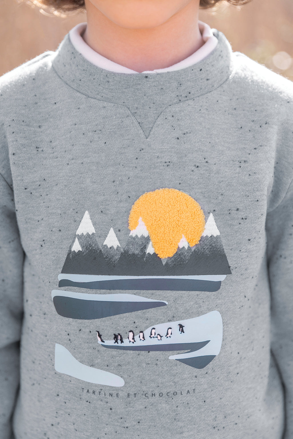 Sweatshirt - Blauw Grijse Tekening ijsvloeg