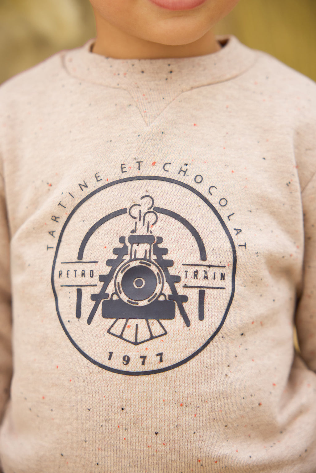 Sweatshirt - Sand Illustration train