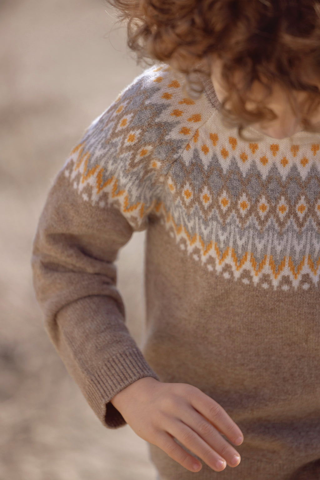 Sweater - Brown jacquard