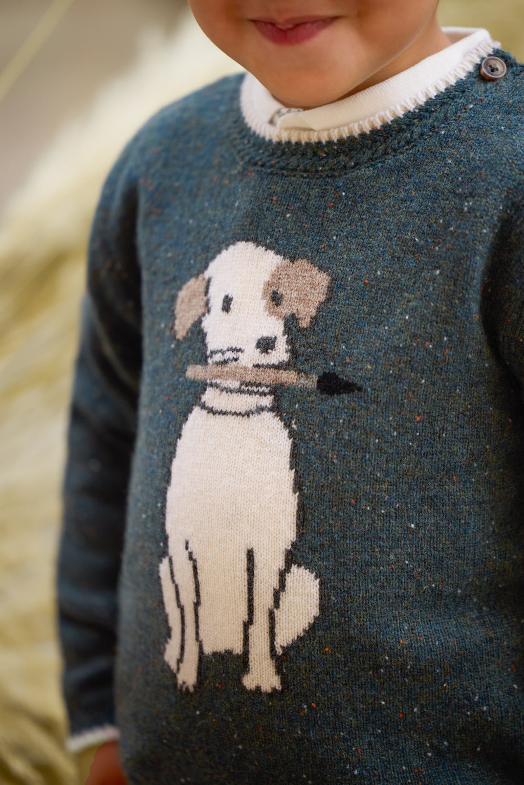 Sweater - Green Illustration dog