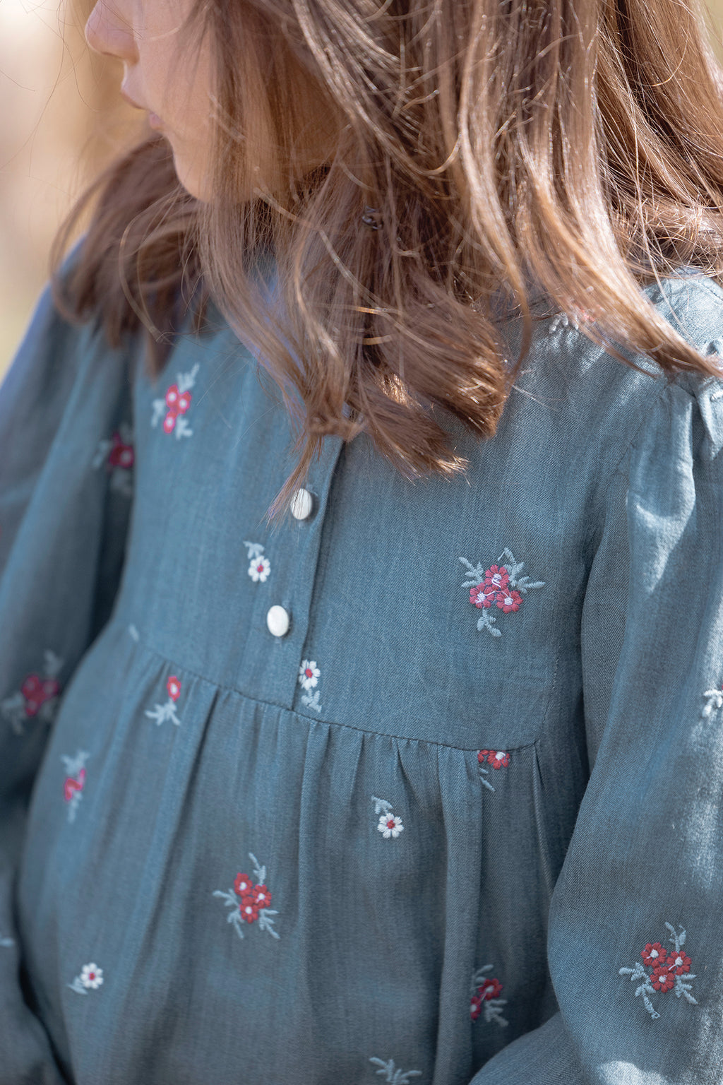 Dress - Blue chambray Embrodery