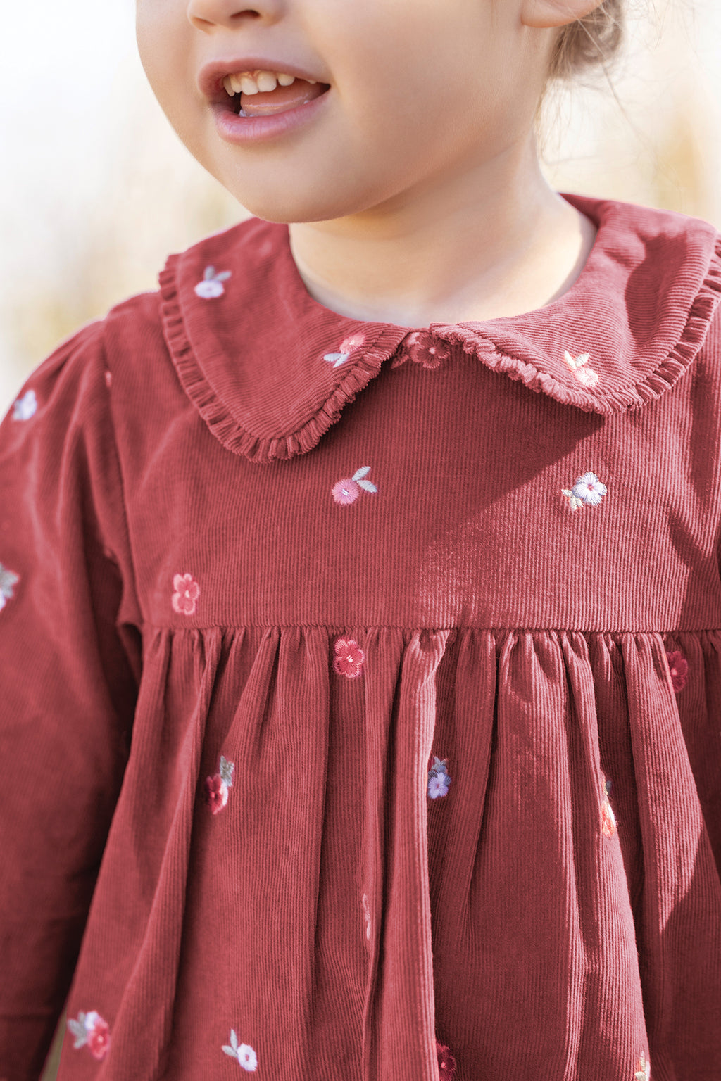 Dress - Pink Velvet Peter pan collar