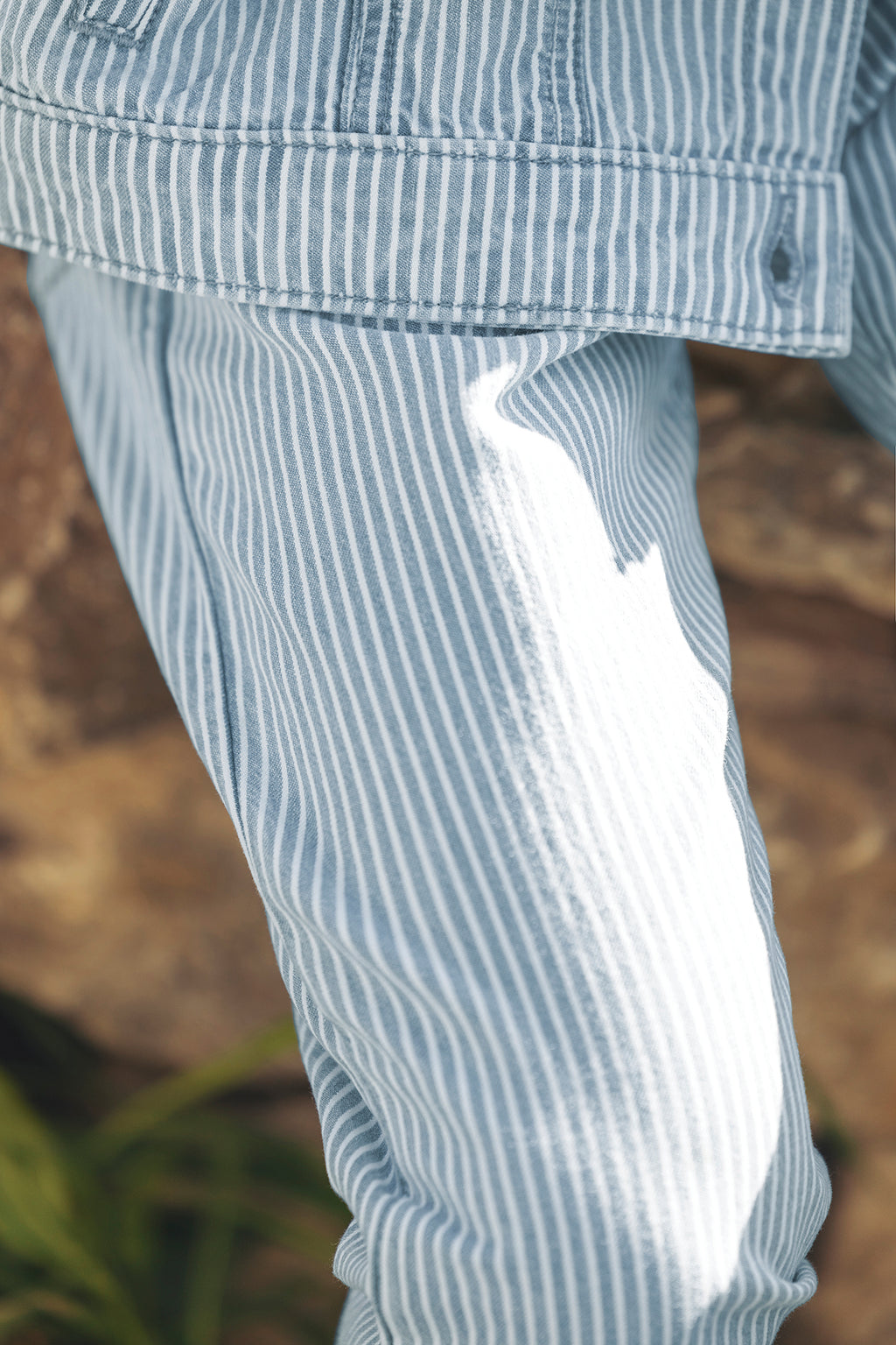 Trousers - Blue striped