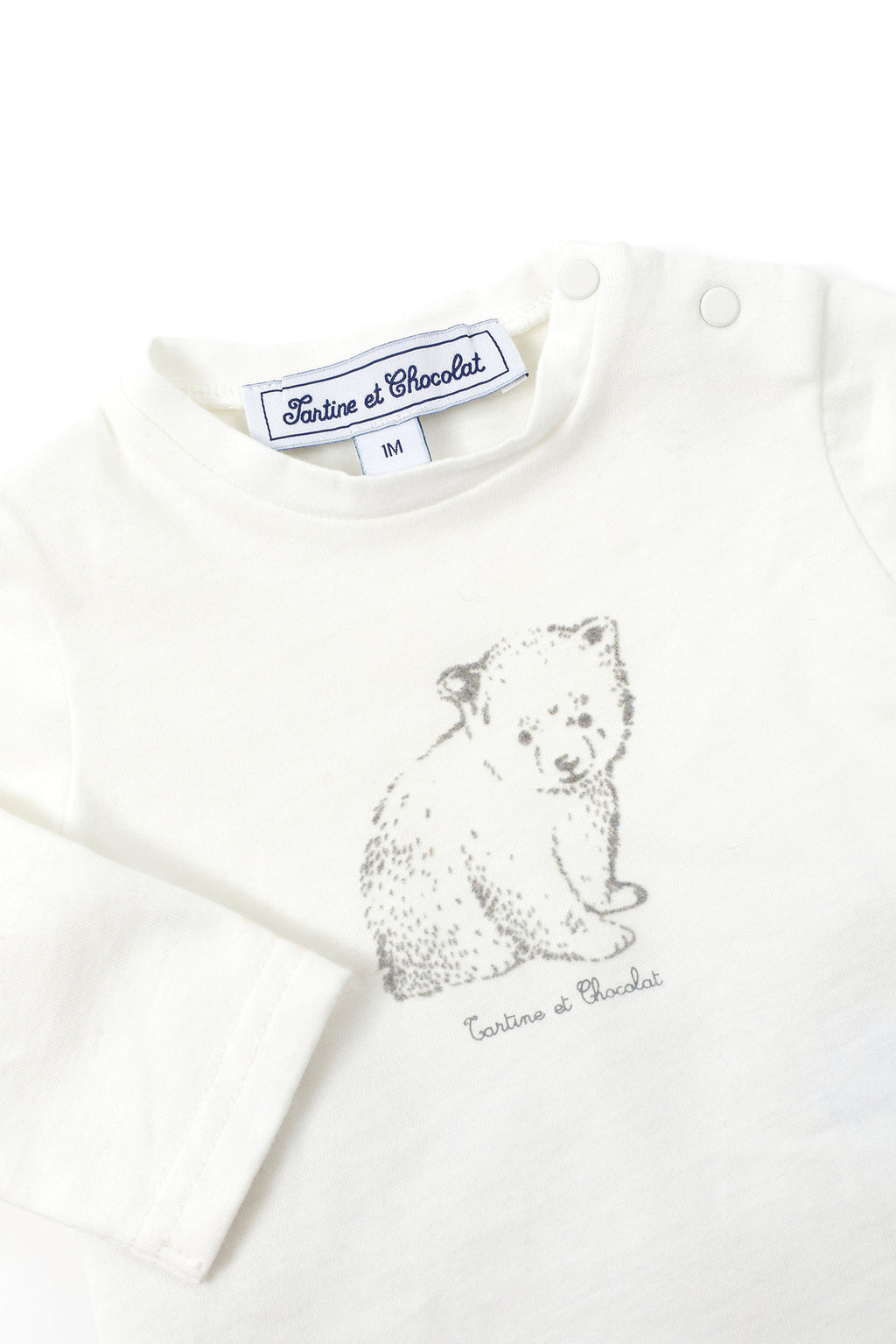 T -Shirt - Madreperla  Illustrazione orso