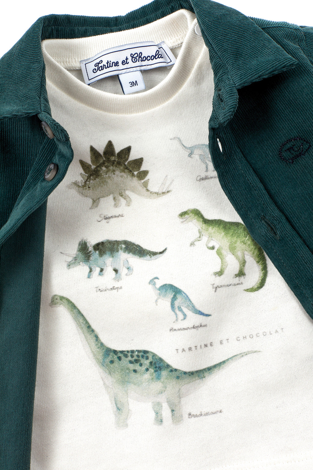 T -Shirt - Jersey Illustrazione dinosauro